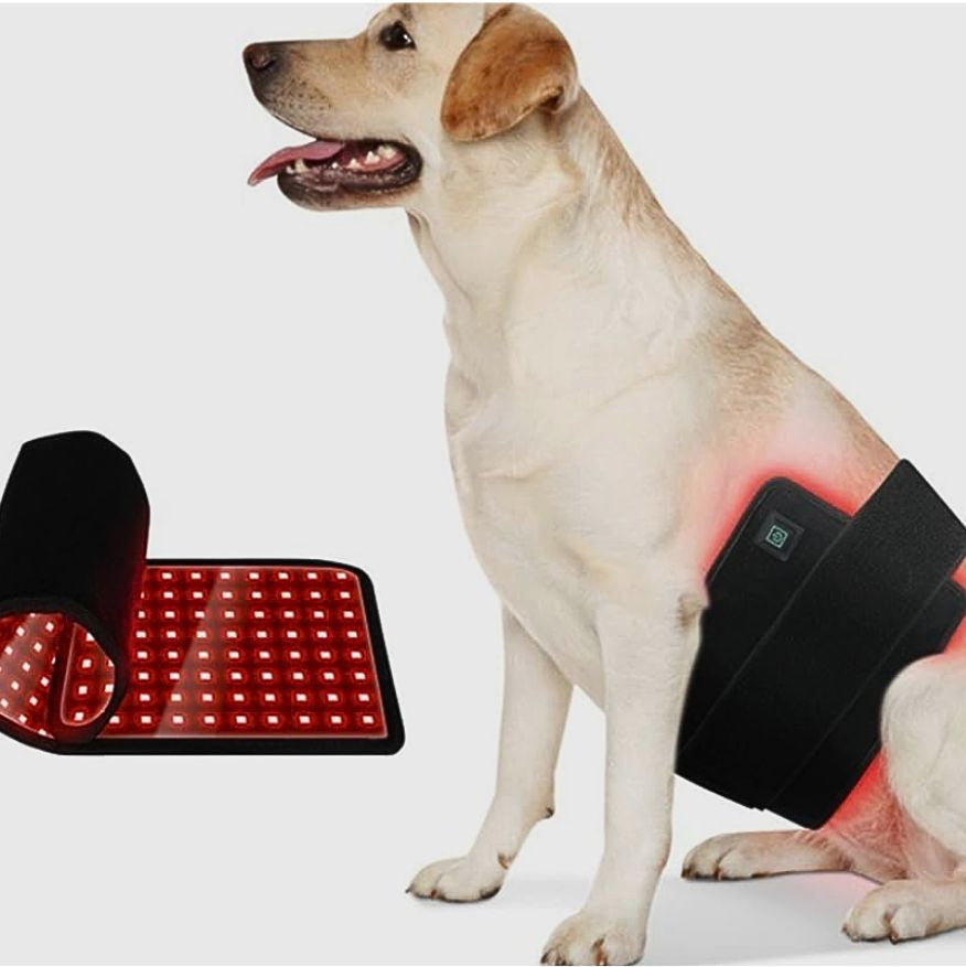 Red Light Therapy for Pets™